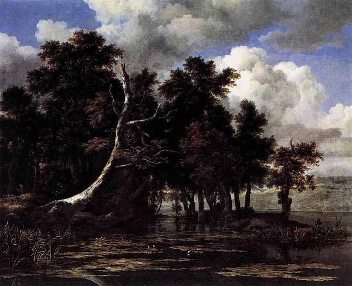 Jacob Isaacksz. van Ruisdael Oaks by a Lake with Waterlilies oil painting image